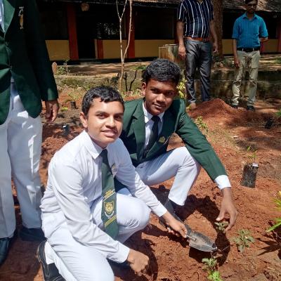 476926952 598842952911749 3728484859551232449 N