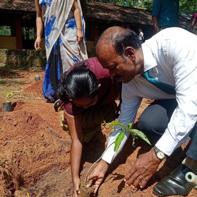 477125263 598842962911748 782123348666972730 N