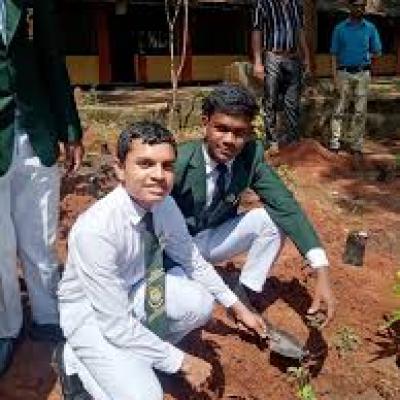 ඔසුපැළ රෝපණ වැඩසටහන